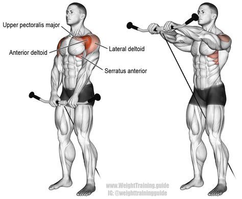 Cable front raise