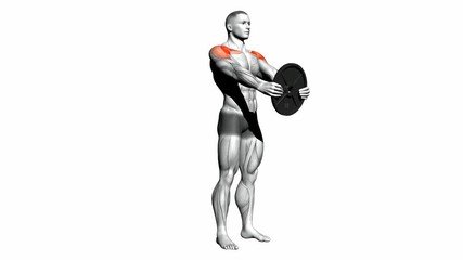 Anterior Deltoid Workout